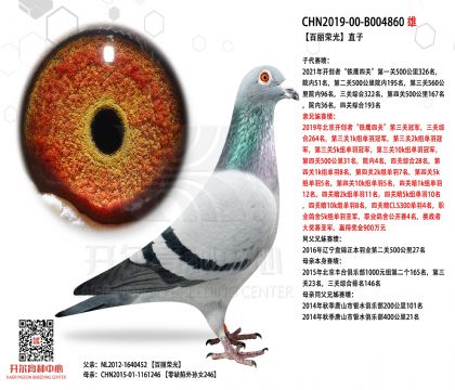 1����-B004860