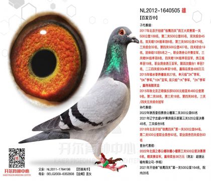 1����-1640505