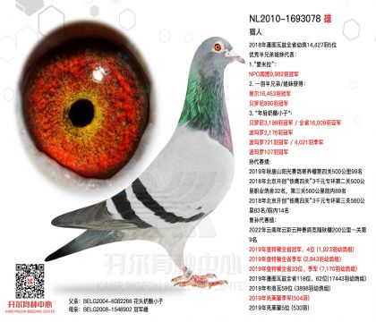 2����-1693078