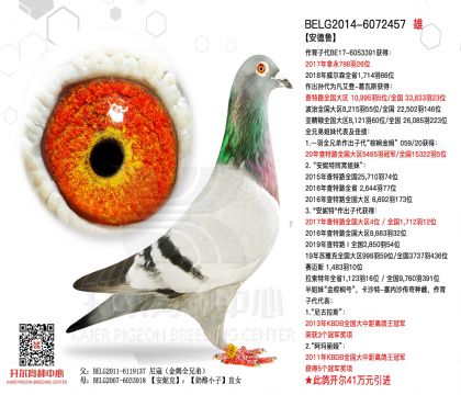 2����-6072457