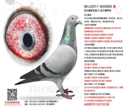 1����-6052855