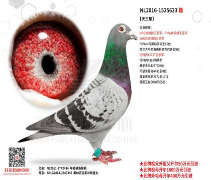 NL2016-1525623������