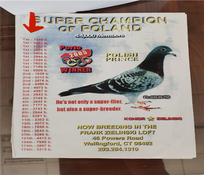 2160父亲-波兰王子