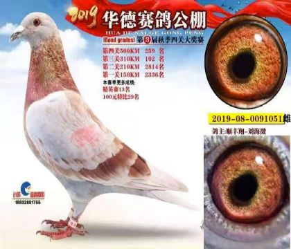 �������259��