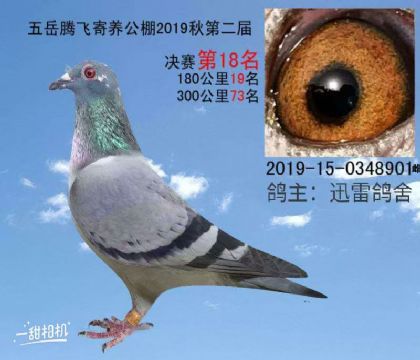 �������18��