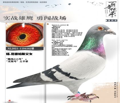 威廉迪布恩飓风家族162