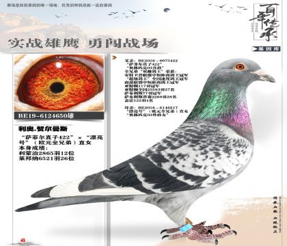 利奥家族种雄650