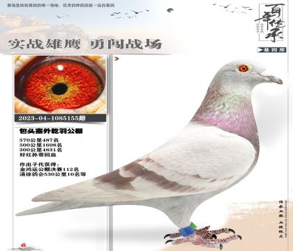 凡登布克公棚多趟500公里155