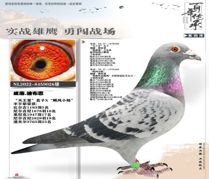 天王星飓风家族026