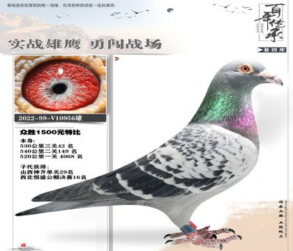 众胜千元大特比956