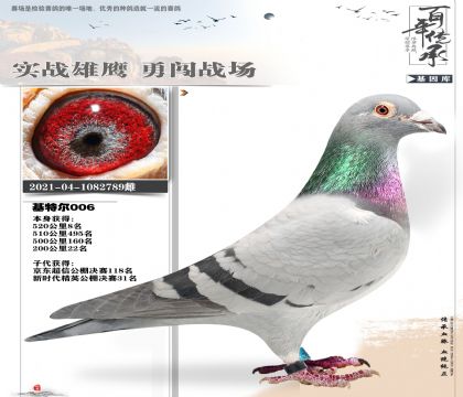 凡登布克006家族520公里8名789