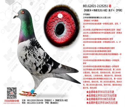 �����������ŷ�߿�С�㡱ֱ�ӡ�����