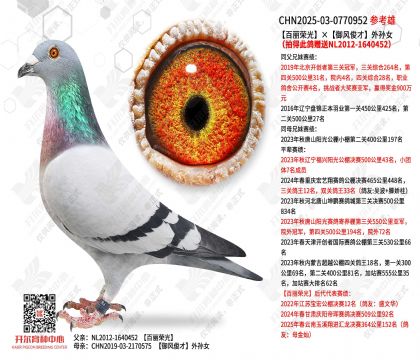 �����ٹ�����翡������Ů���Ĵ˸���NL12-1640452��