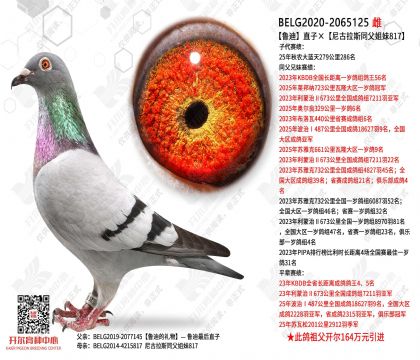 ³��ֱ�ӡ������˹ͬ������817