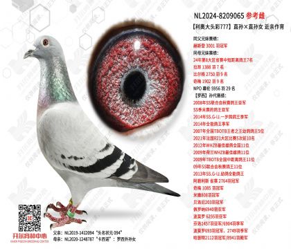 ���´�ͷ��777ֱ���ֱ��Ů ��������