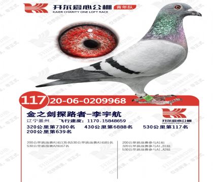 ��������Ӿ���117��