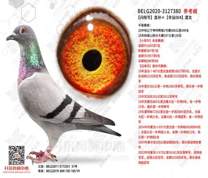 �����ֱ�������004ֱŮ