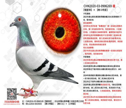 ��Ӱ���� ��ɫ�ȶ�