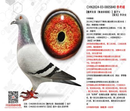 ħ��Ů����³���׽�㣩ֱ�ӡ���������Ů