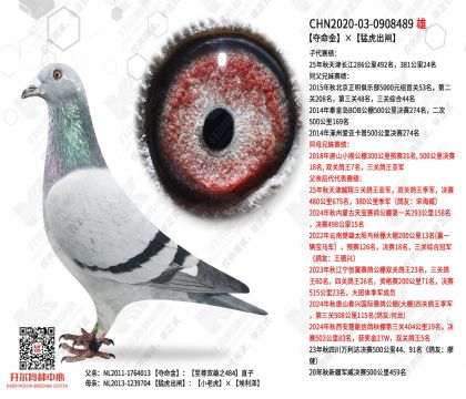 ��������ͻ���բ