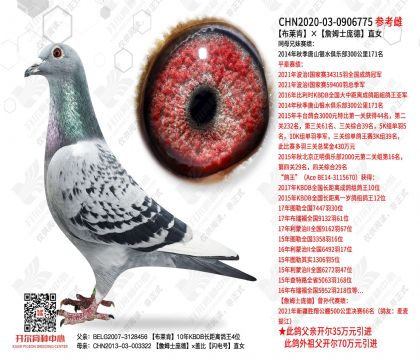 �����ϡ�ղķʿ�ӵ�ֱŮ