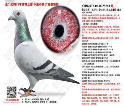 �Ӷ���ֱ�ӡ���484�������Ҵơ�ֱŮ