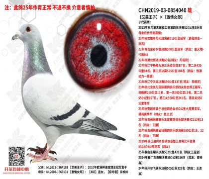 �������ӡ�����Ů��