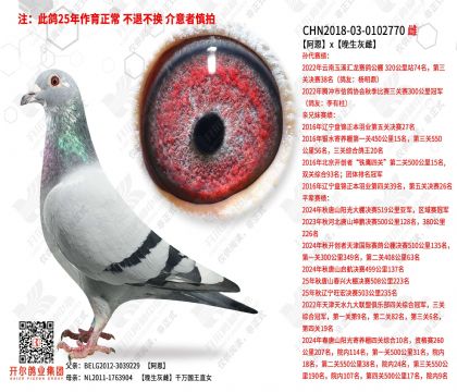 ����x�����Ҵ�