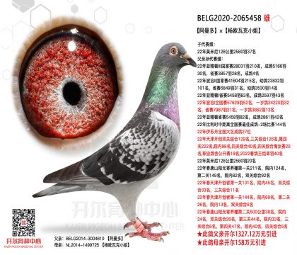 1����-2065458