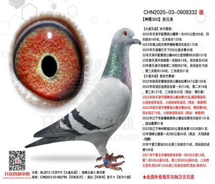 1����-0908332