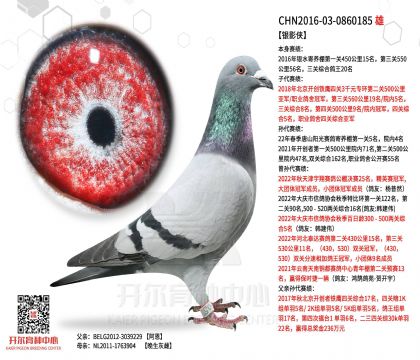 1����-0860185