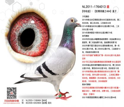 1����1764013