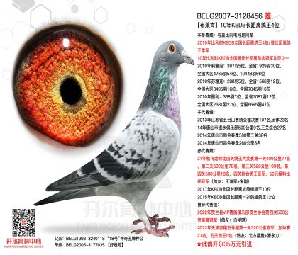 1����-3128456