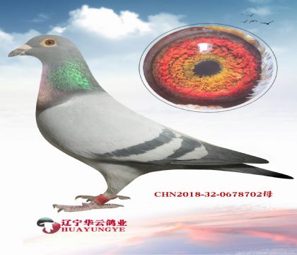 �ĵ��Ҿͳ��óɼ� ����ʵս���ָ� �������ܸߵ����