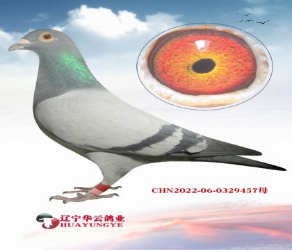 ����ñ��Ϸ����ֱ��X������.����