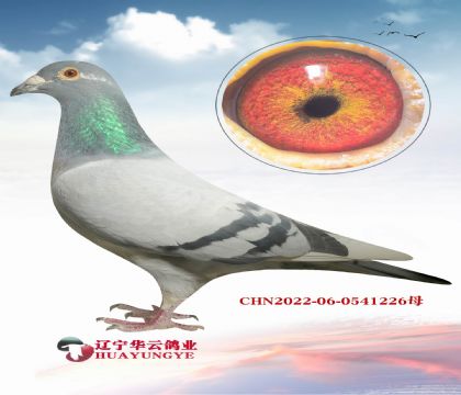 ������������ھ�ֱ��X��˹��˹��ս���ھ�ֱŮ