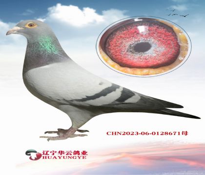 ����ñ��Ϸ����ֱ��Xī�ƶ�����Ů