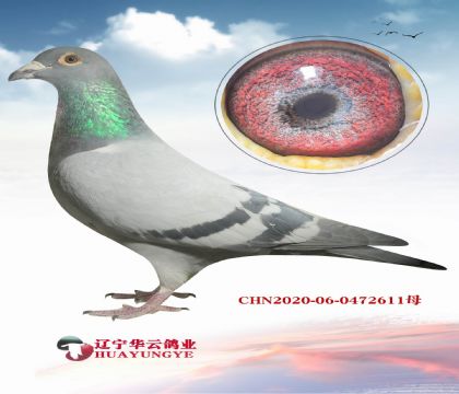 �ֲ���������ĸ��������Ů�����Ӵ�