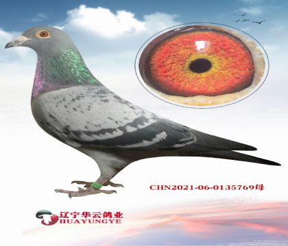 ����С�Ͽ˽���ֱ��X��ƿ�