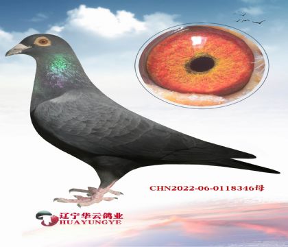 �����ع�ĳ������� ��������������� ����.��ɭ˹