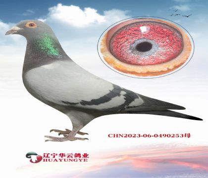 ����ھ�����X����Ľ��𳬼���ĸ