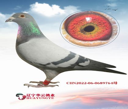 ���߹��ֱ�XֱŮ  ��Ů��Ѫ