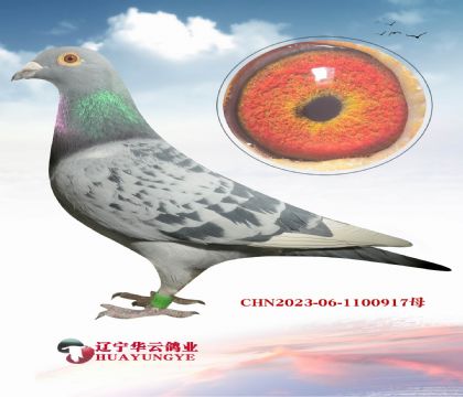 20�꿪����������ھ����X������.����