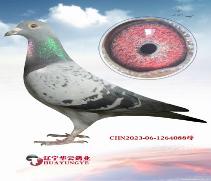 ��֪�� ���ڵ����������ж������