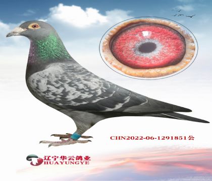 ��������X���۴ơ������λ���ԣ�ֱ��X��������ֱŮ