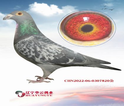 ����С�Ͽ˽���ֱ��X��ƿ�