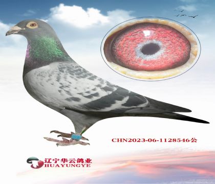 ������ƥ��003ֱ�X���������۴Ƴ�����ĸ