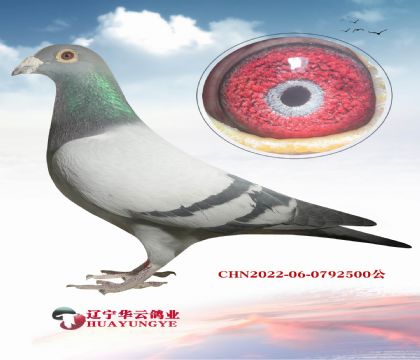 ������������ھ�Xǧ�򼶻ƽ���Խ�5010