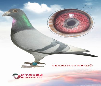 Ӣ��˹�����ֹ� �ƽ����ֱ��X������˹��ĸ