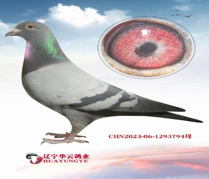 ����ھ�����X����Ľ��𳬼���ĸ